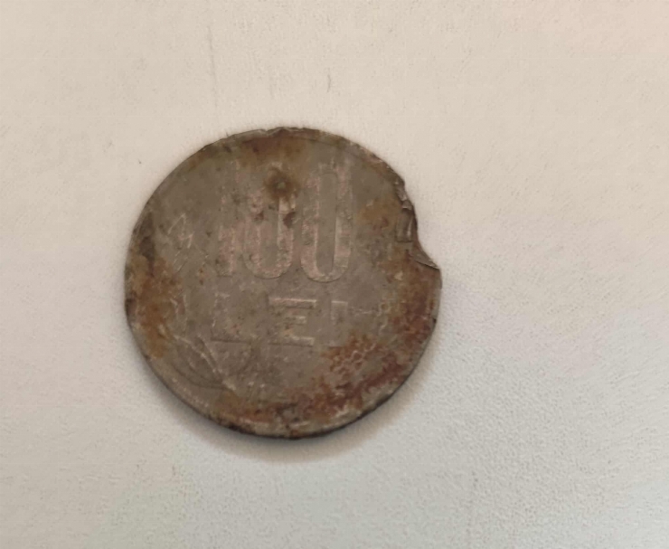 100 Lei românești