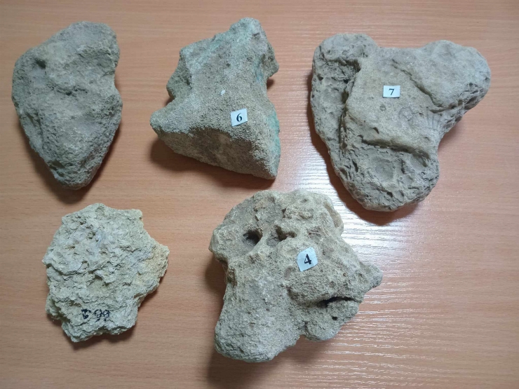 Calcar (rocă sedimentară carbonatică)