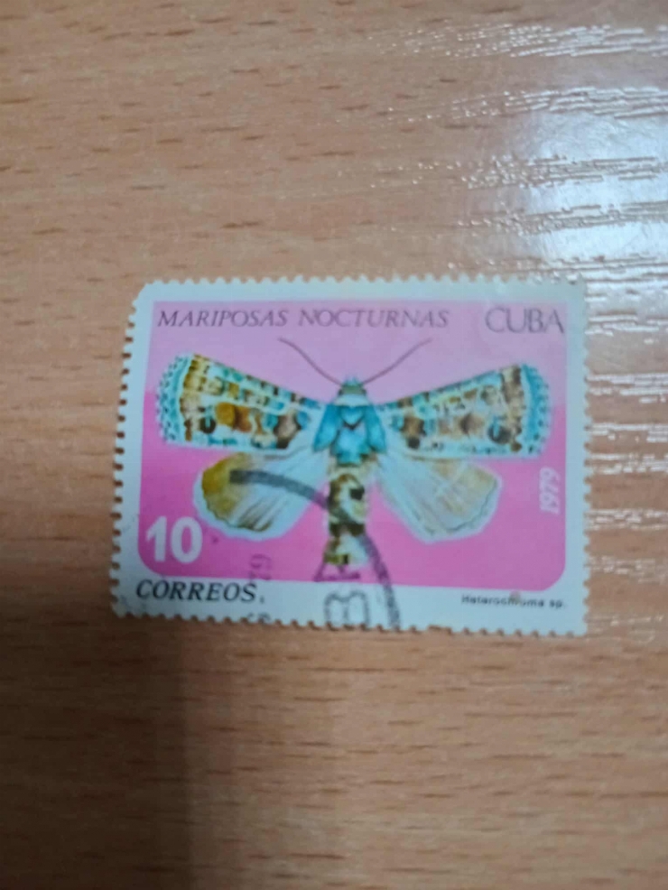 Marcă poștală „Heteroschista sp.” – Mariposas nocturnas