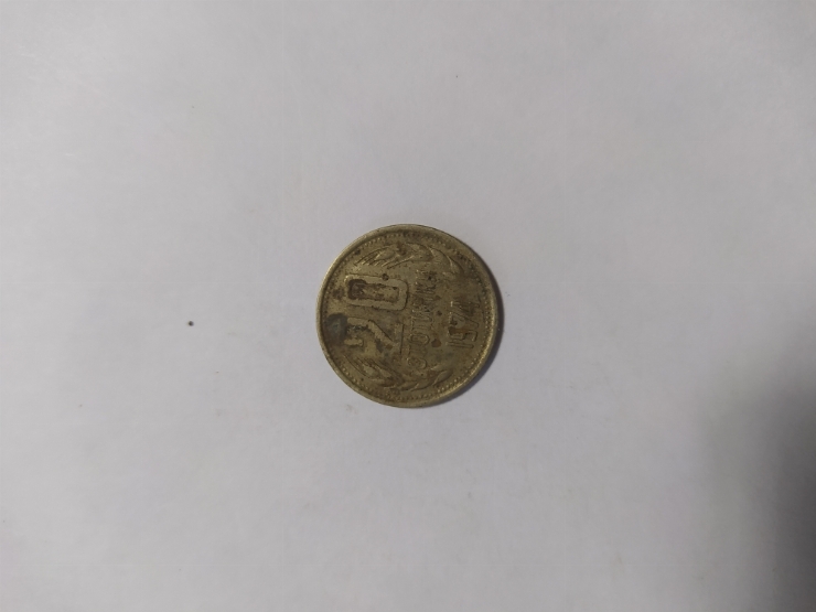 монета