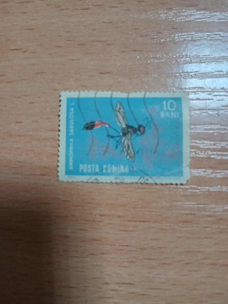 Marcă poștală – Ammophila sabulosa L.