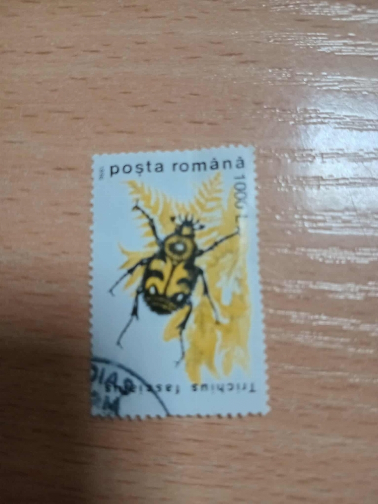Marcă poștală – Trichius fasciatus