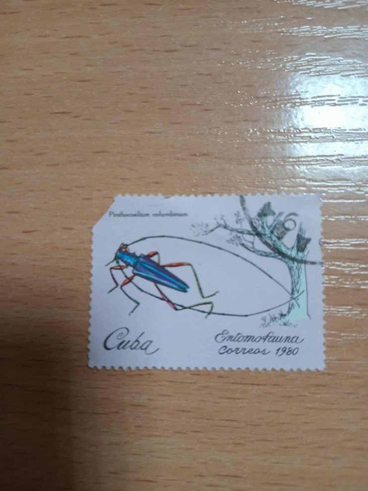 Marcă poștală „Pseudosecobius melanocephalus”