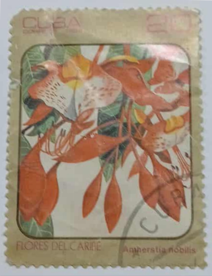  Timbru cubanez - „Flores del Caribe – Amnerastia nobilis”