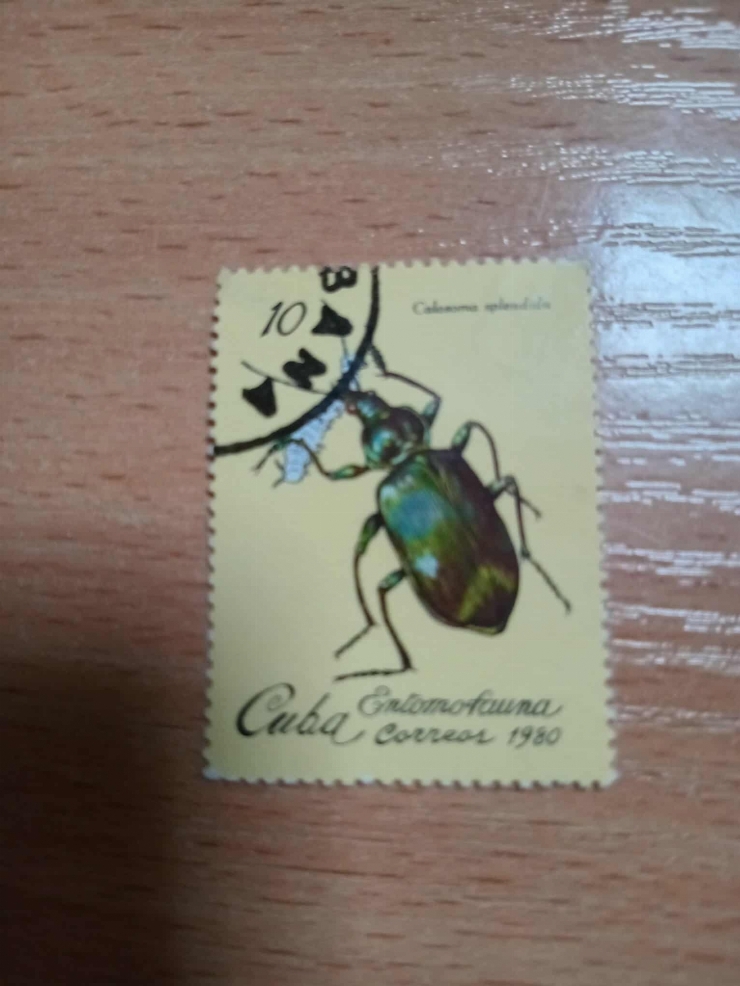 Marcă poștală „Calosoma splendidula” 