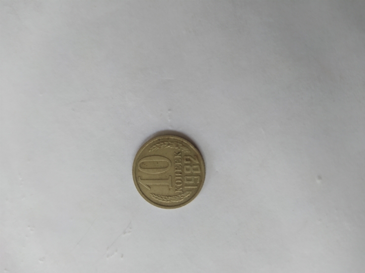 монета