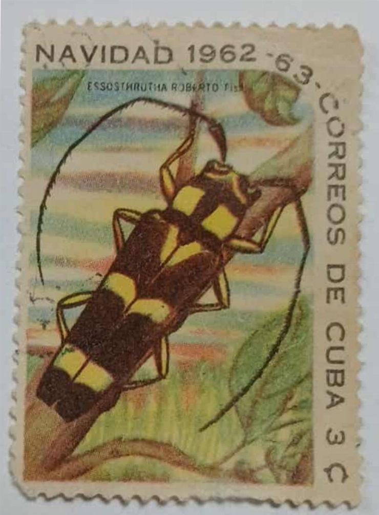 Timbru cubanez - „Navidad 1962–1963” (Essostruta roberto)