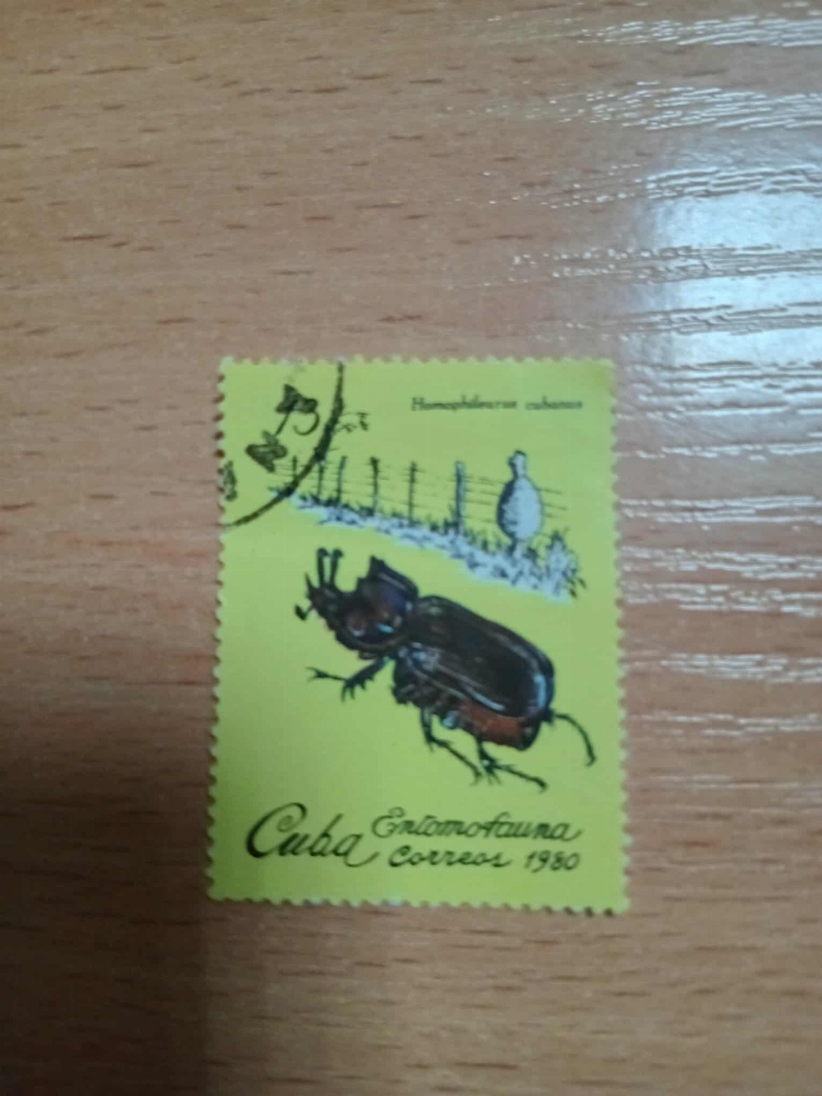 Marcă poștală „Homoploderus cubanus” 