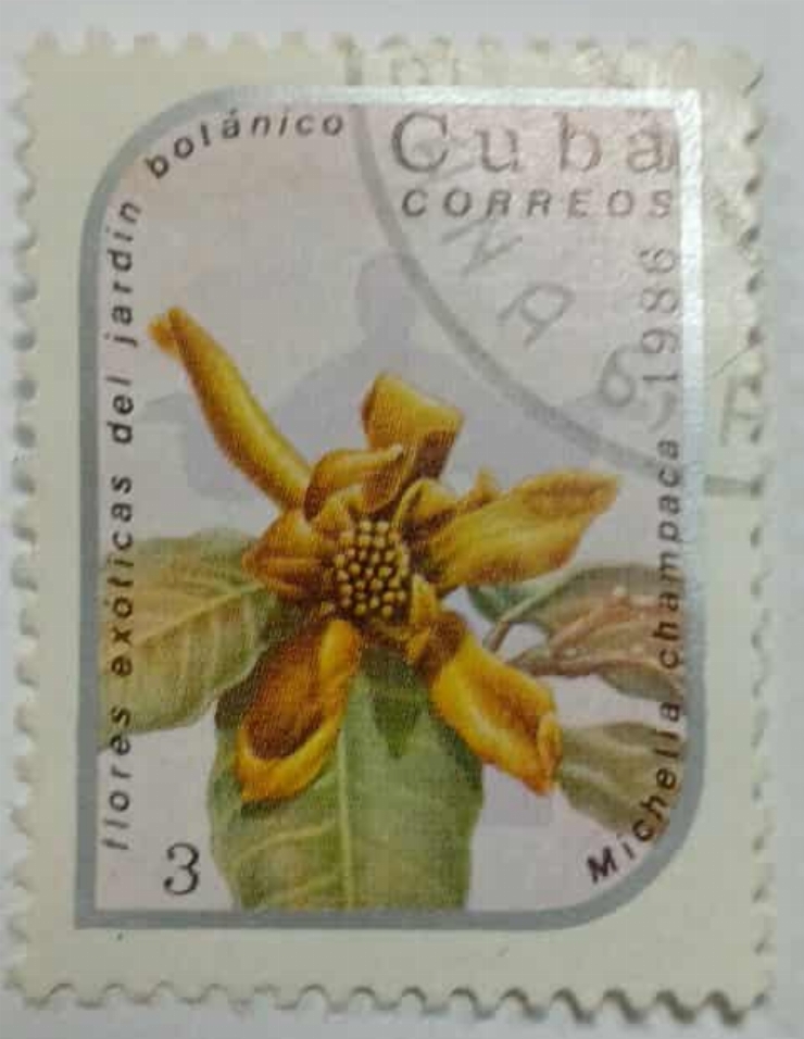 Timbru Cubanez „Michelia champaca”