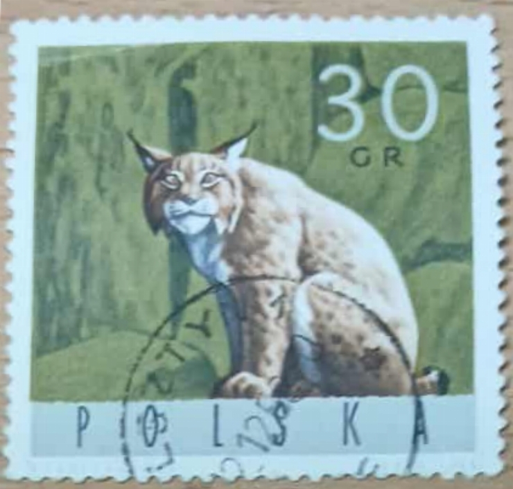 Timbru tematic Polonia -„ Râs eurasiatic”
