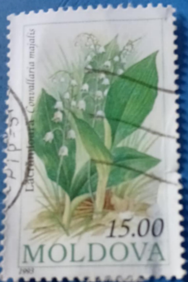 Timbru poștal - „Lăcrimioara, floare simbol a primăverii ”