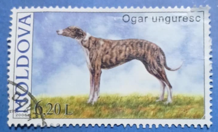 Timbru poștal -  „Ogar unguresc”