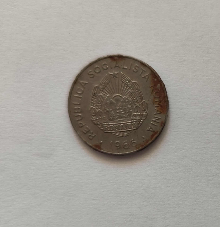 25 Bani