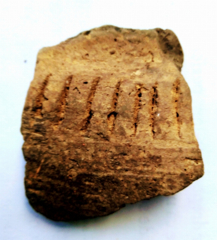 Fragment de vas lucrat cu scoică