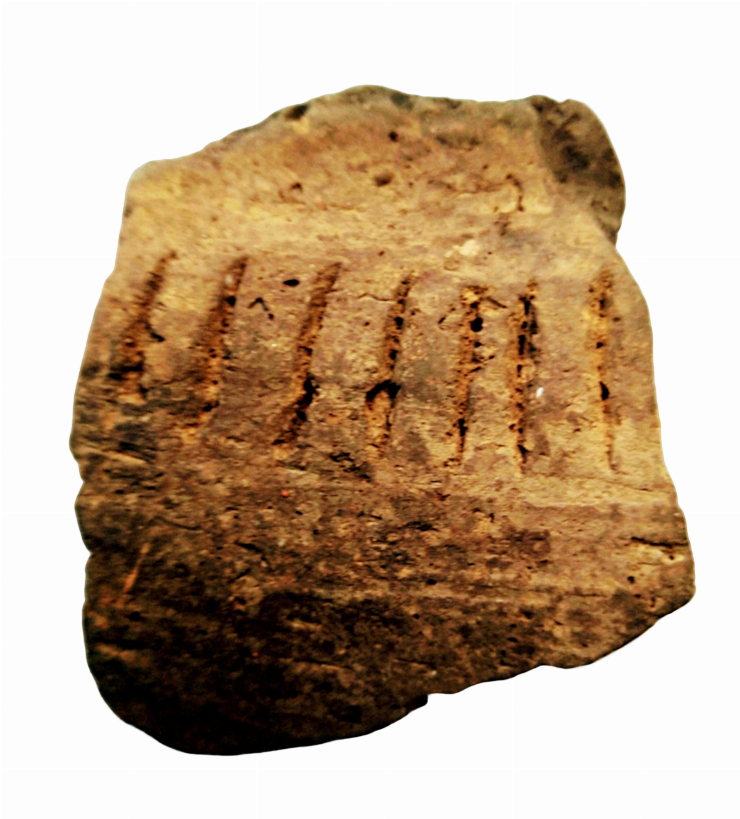 Fragment de vas lucrat cu scoică