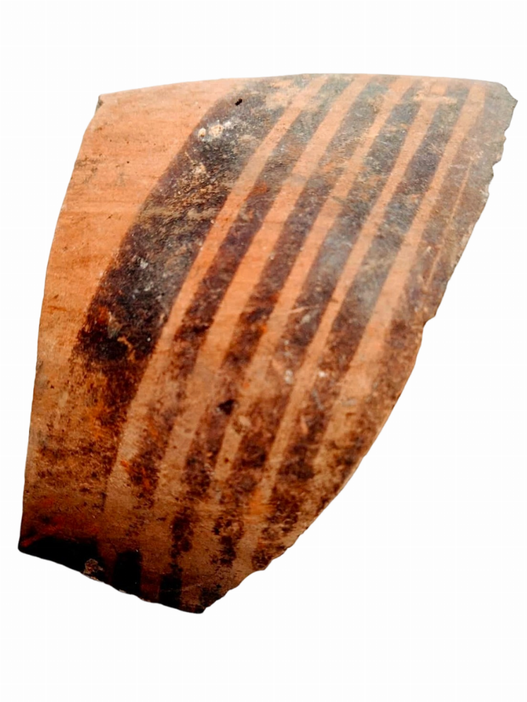 Fragment de strachină