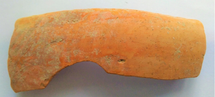 Fragment de castron