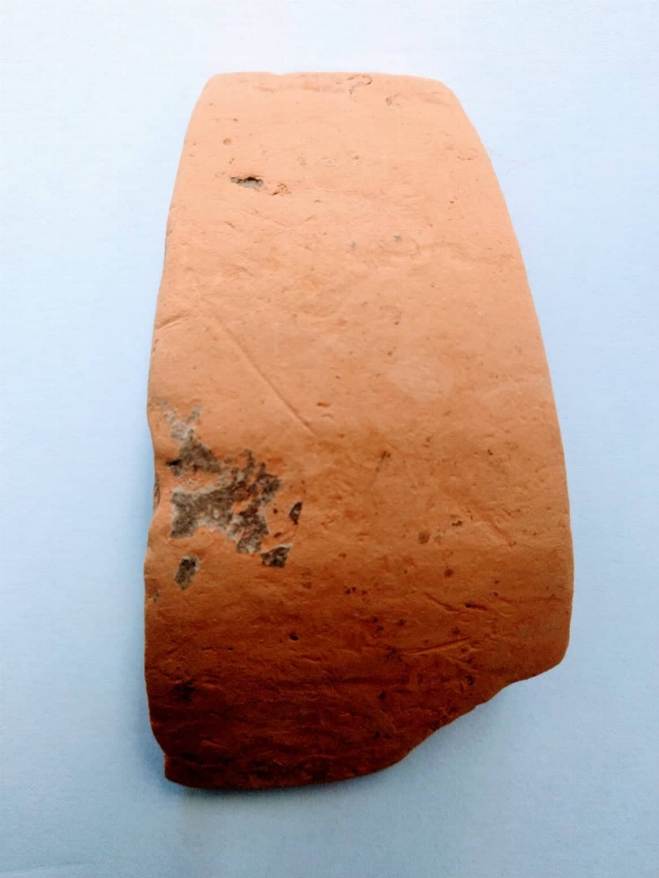 Fragment(strachină)