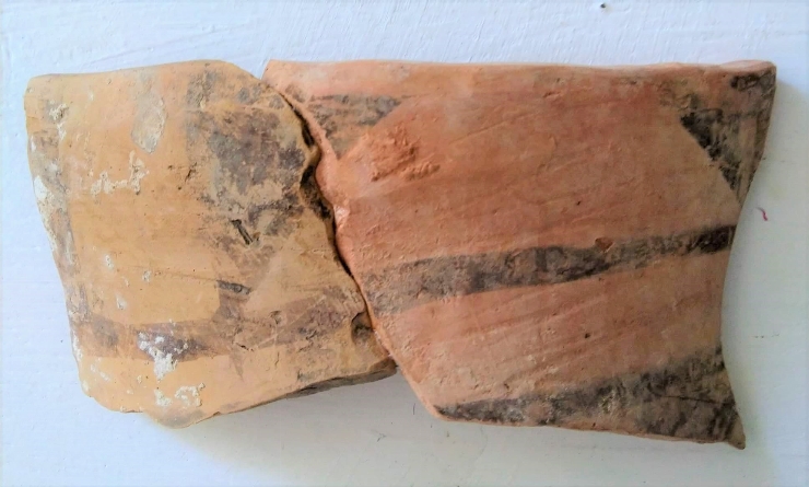 Fragment de strachină