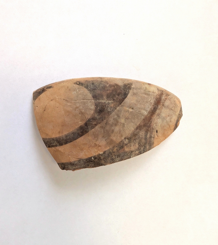 Fragment de vas de tip binoclu