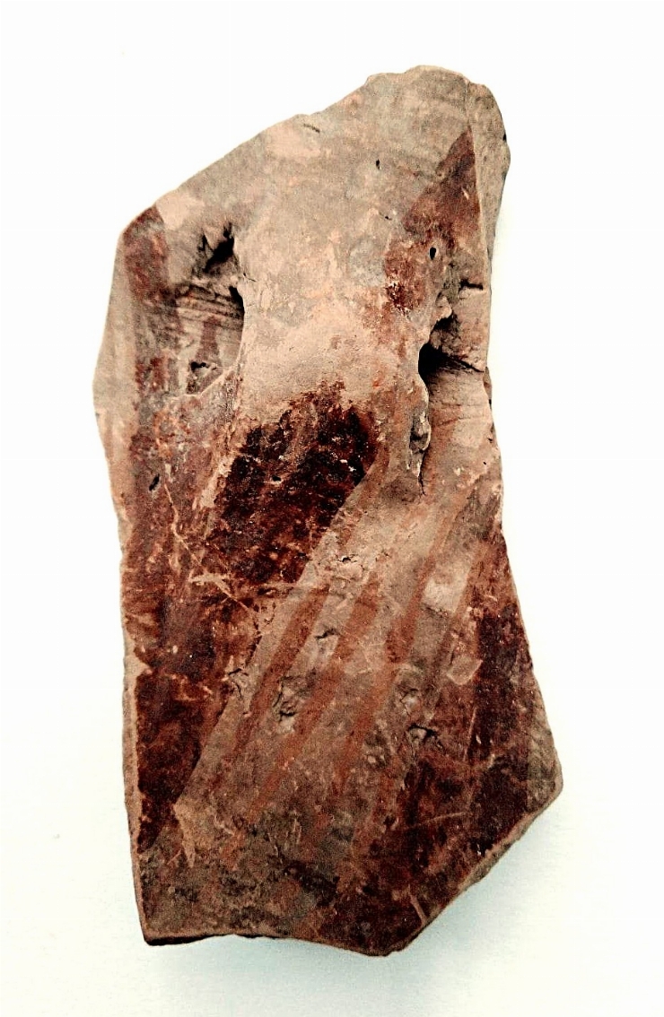 Fragment de vas cu corpul bitronconic
