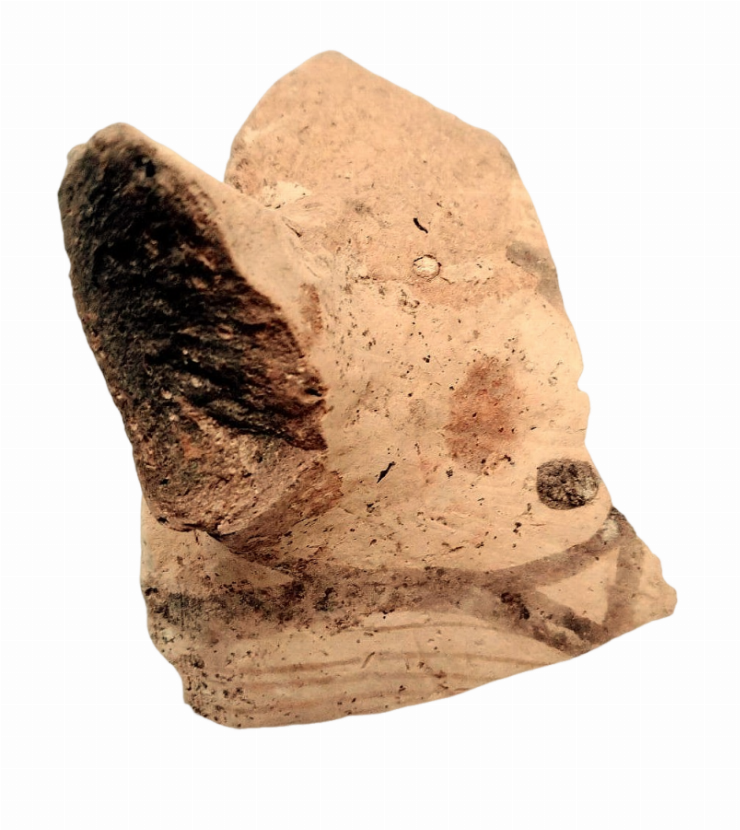 Fragment de binoclu