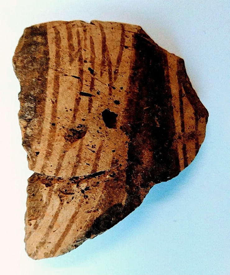 Fragment de castron (strachină)