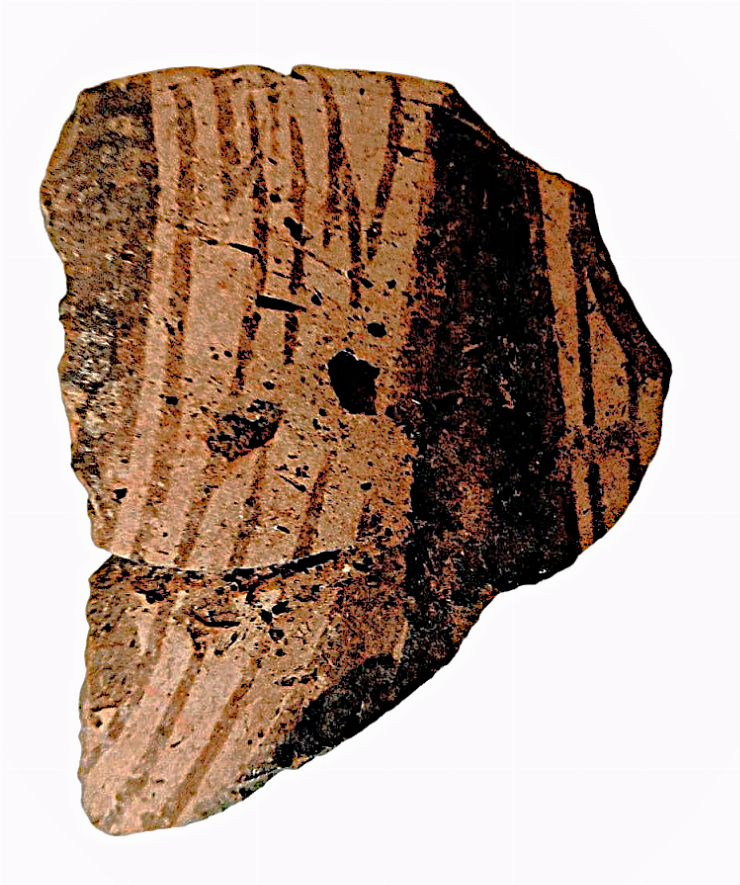 Fragment de castron (strachină)