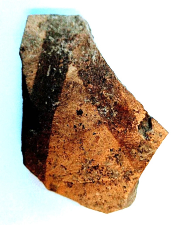 Fragment de oală
