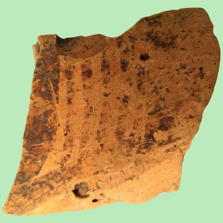 Fragment(castron)