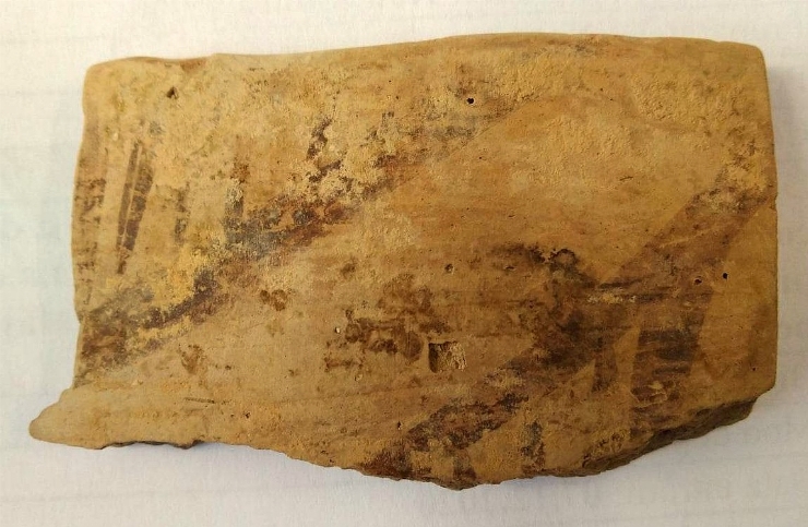 Fragment de castron