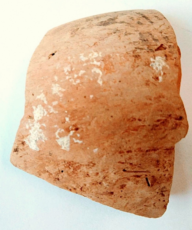 Fragment de castron(strachină)