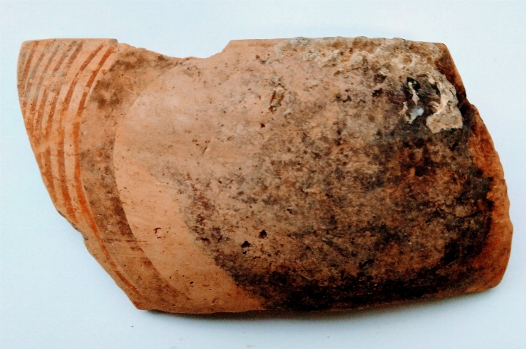 Fragment de castron (strachină)