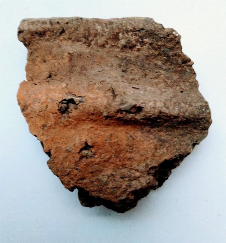 Fragment de vas din pastă de lut