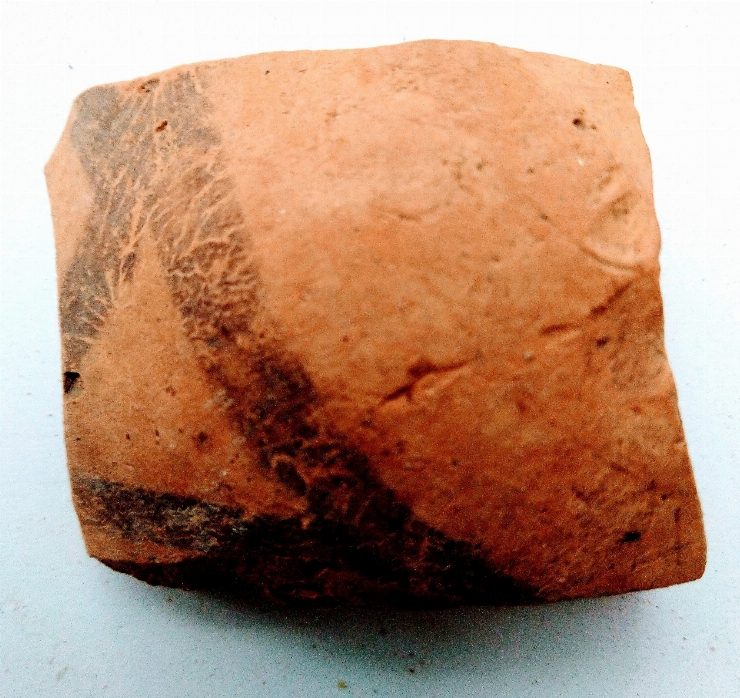 Fragment de oală