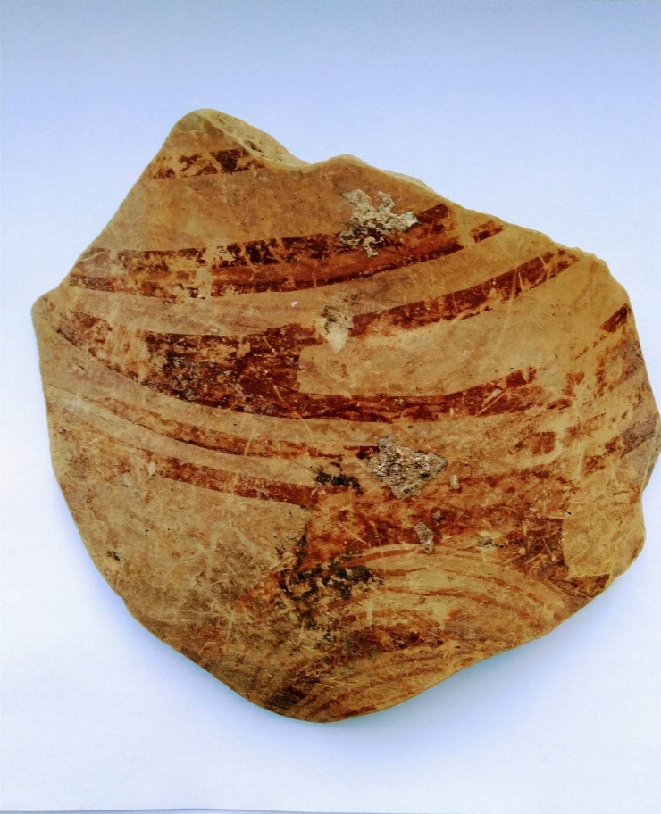 Fragment de vas cu corpul bitronconic