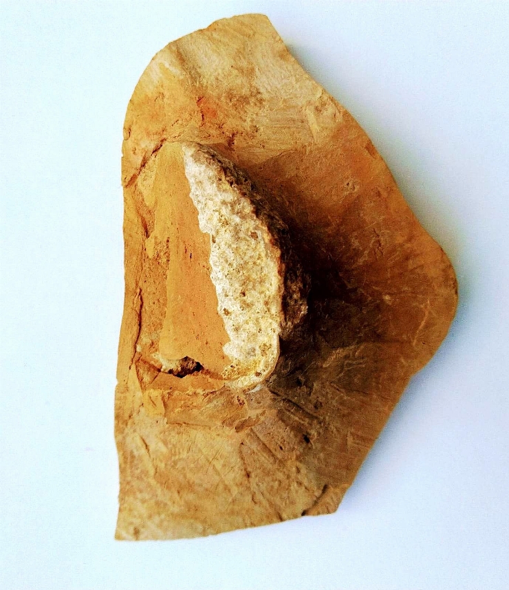 Fragment(vas)