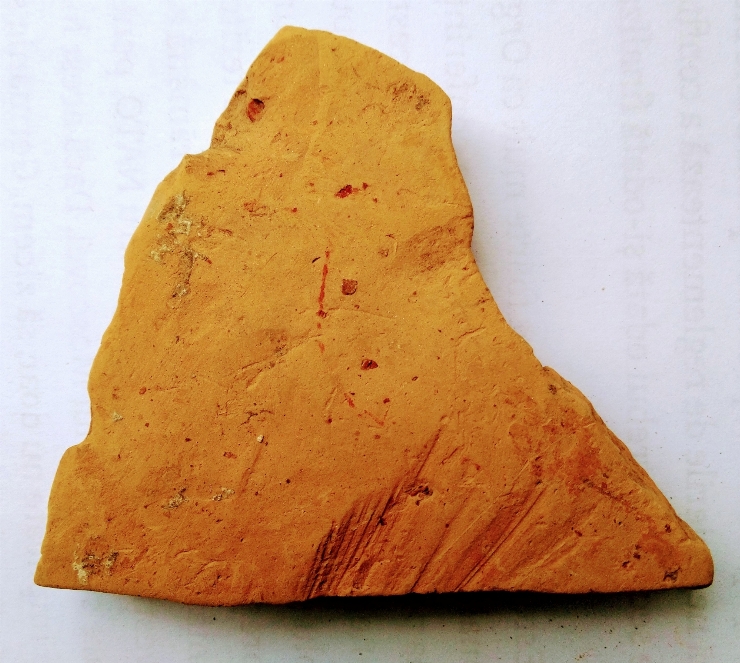 Fragment(vas)
