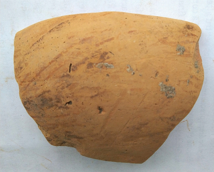 Fragment de vas