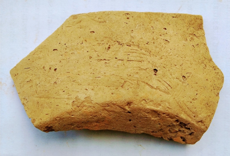 Fragment de fund de vas
