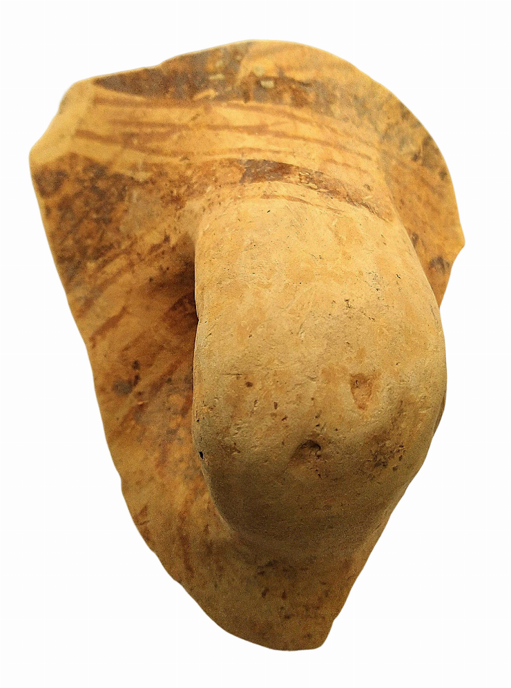 Fragment de vas cu corpul bitronconic