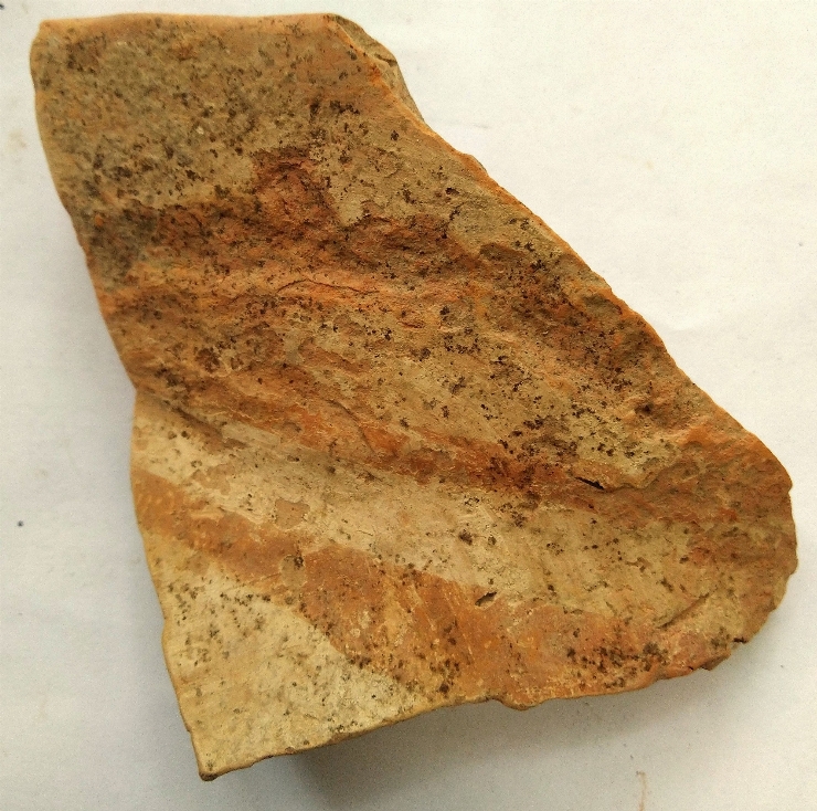 Fragment de vas cu corpul bitronconic