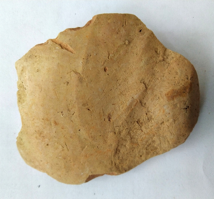 Fragment de vas de tip binoclu