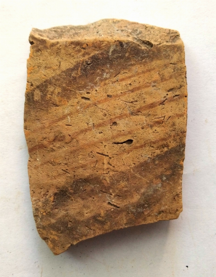 Fragment de vas