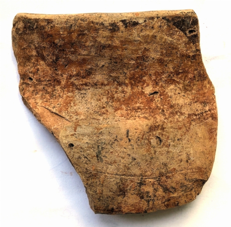 Fragment de pahar(cupă)