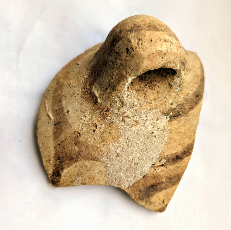 Fragment de vas cu corpul bitronconic