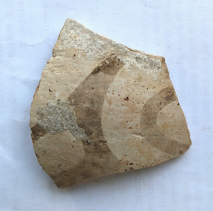 Fragment de vas cu corpul sferic