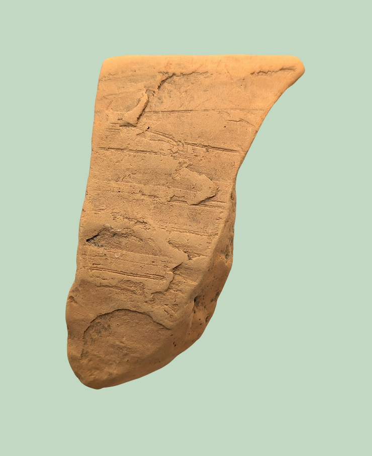 Fragment de castron (strachină)