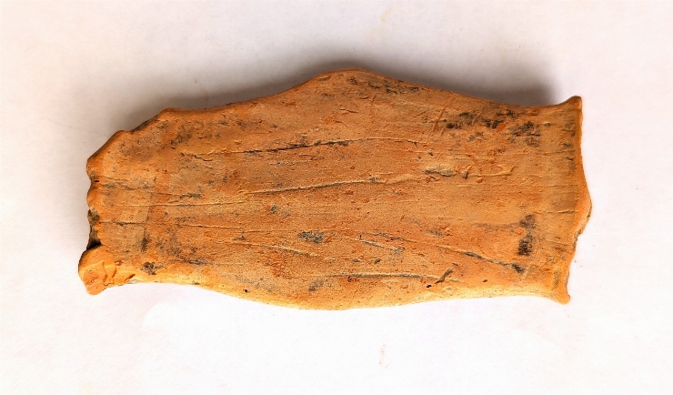 Fragment de binoclu