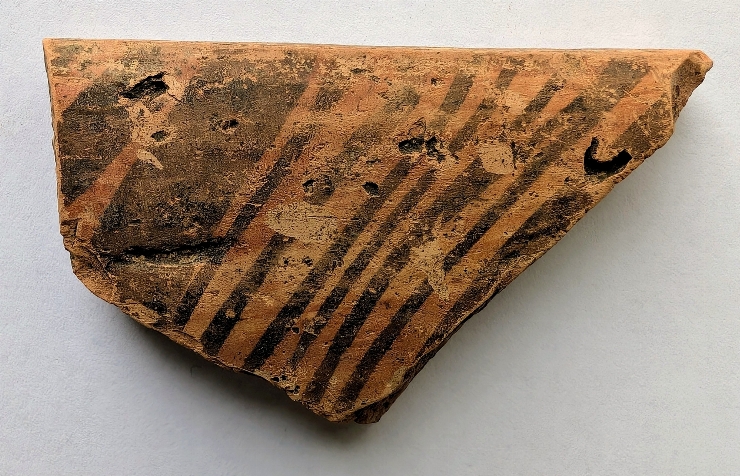 Fragment de castron(strachină)